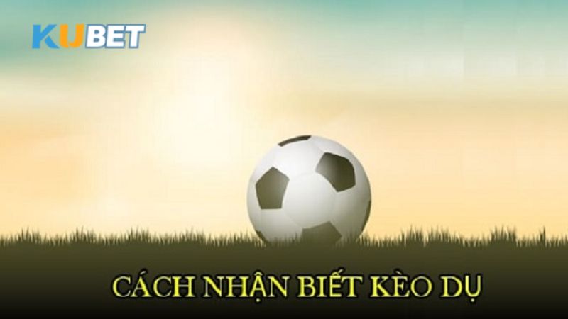 kèo dụ là gì